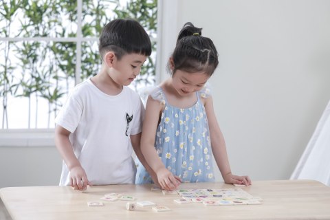 VIGA Gra Edukacyjna Układanka Ucząca Sortuj Zmysły 37 el. Montessori