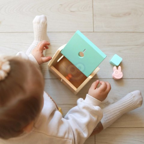 CLASSIC WORLD Pastelowy Zestaw dla Niemowląt Box Pierwsze Zabawki do Nauki od 12 do 18 miesiąca
