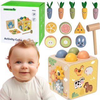TOOKY TOY Drewniana Wiosenna Kostka Edukacyjna 5w1